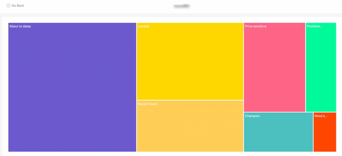 TechMonk's RFM segmentation